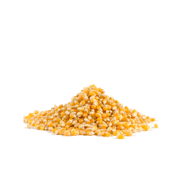 Bob's Red Mill Yellow Popcorn