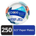 DIXIE Paper Plates, 8.5 Inch Lunch/Dinner Plate (D...
️