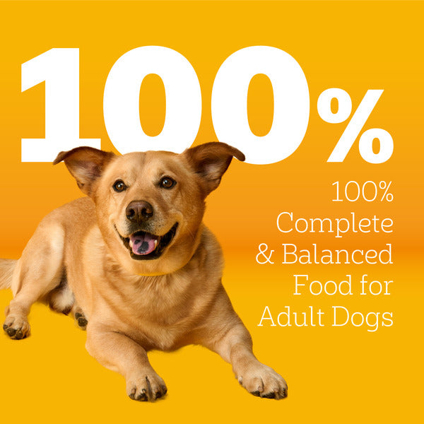 Pedigree Adult Small Dog Dry Dog Food, Roasted Chicken and Vegetable Flavor, 3.5 lb. Bag