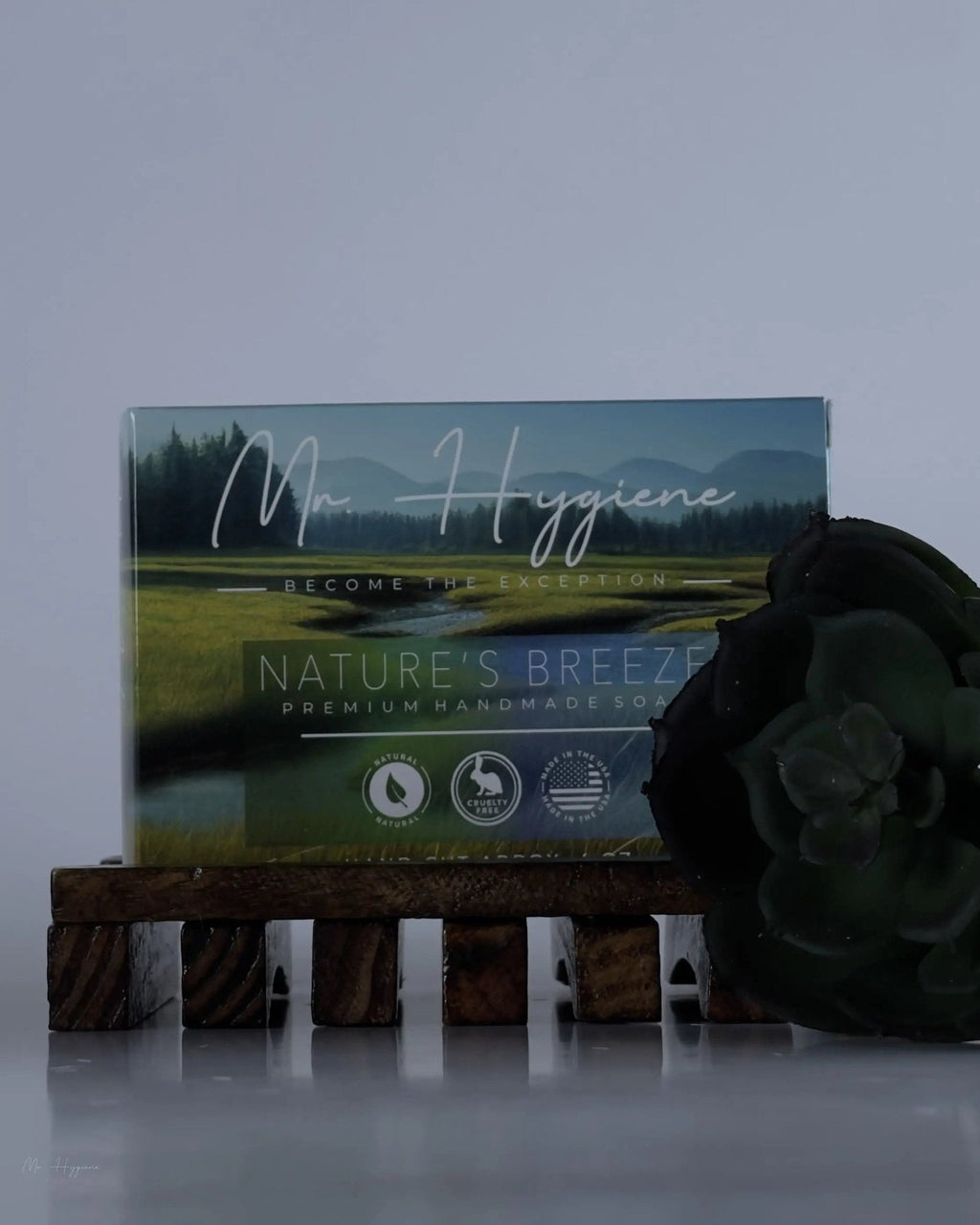 Natural Wooden Soap Dish
