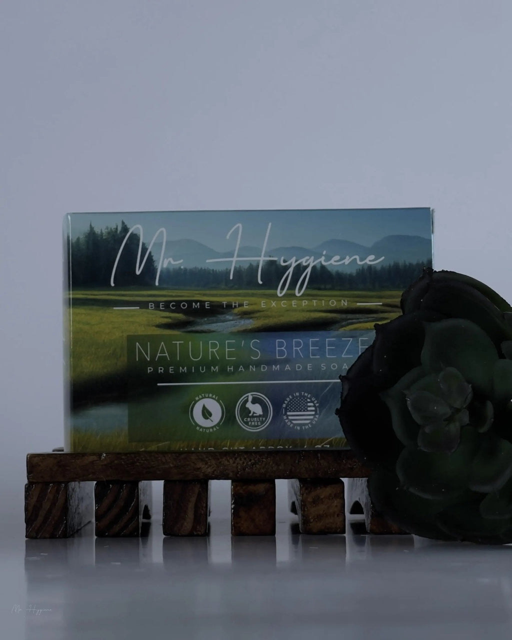 Natural Wooden Soap Dish