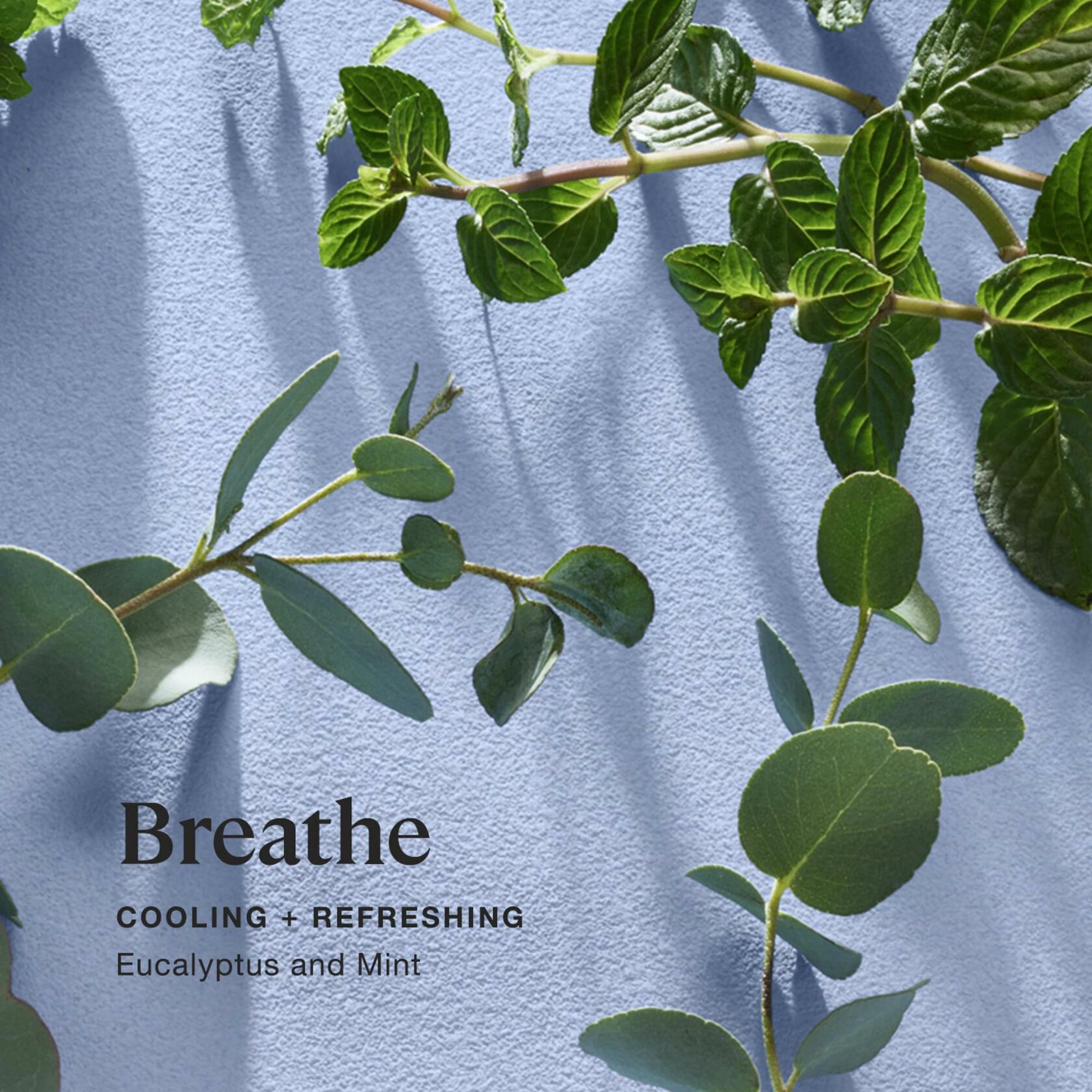 Sprig by Kohler Breathe Aromatherapy Candle with Eucalyptus and Mint -8 oz