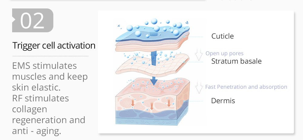Shape Tactics 2-in-1 RF EMS Mesotherapy Skin Rejuvenation System