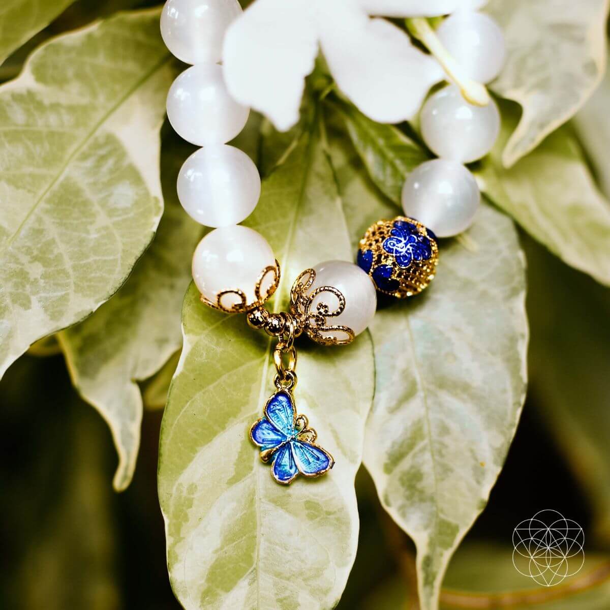 The Spiritual Growth Bracelet