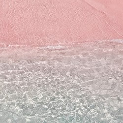 Pink Coconut Calypso (Scented Beads)