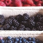 Manilla Berry (Scented Beads)