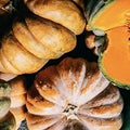 Pumpkin Harvest (Scented Beads)