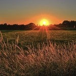 Summer Sunset