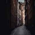 Narcissist (SS) 11%