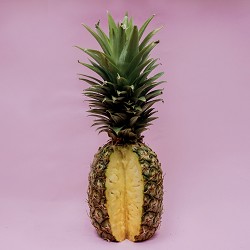 Vanilla Pineapple (Scented Beads)