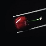 Black Cherry Cinnamon (SS)