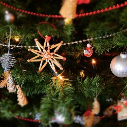 Splendors of Christmas