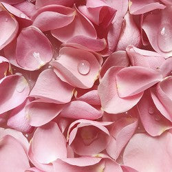 Rose Sprinkles (Scented Beads)