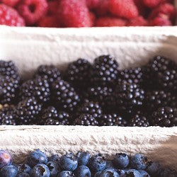 Manilla Berry (Scented Beads)