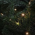 Christmas Lights (SS) 3%