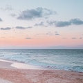 Pink Sands (SS) 2.5%