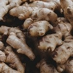 Ginger