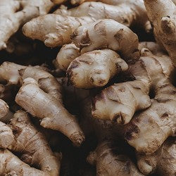 Ginger