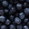 Blueberry (SS)
