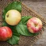 Apple (SS) 30%