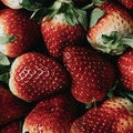 Strawberry  (SS) 2%
