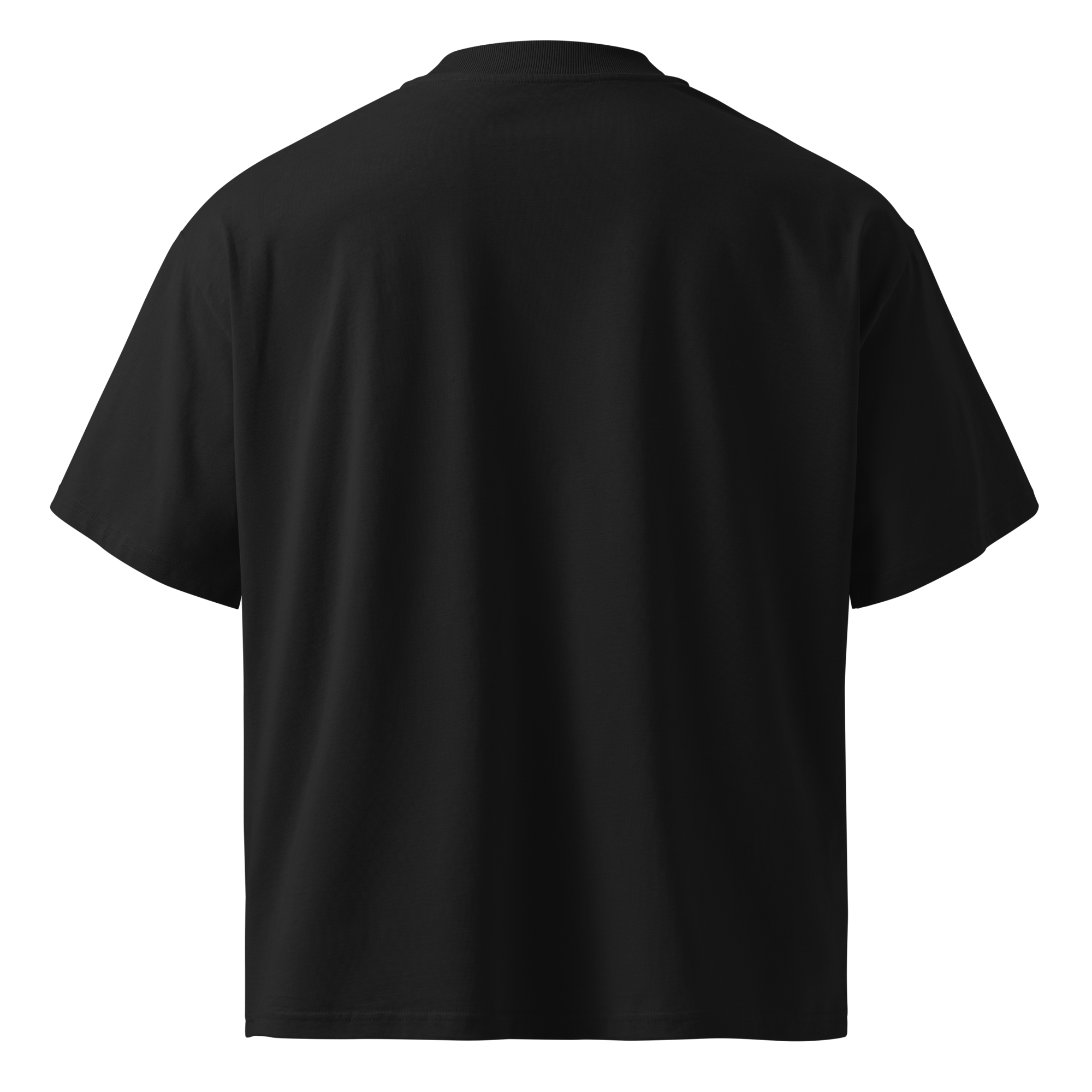 Born in Dark Mode – Oversized Organic High-Neck T-Shirt