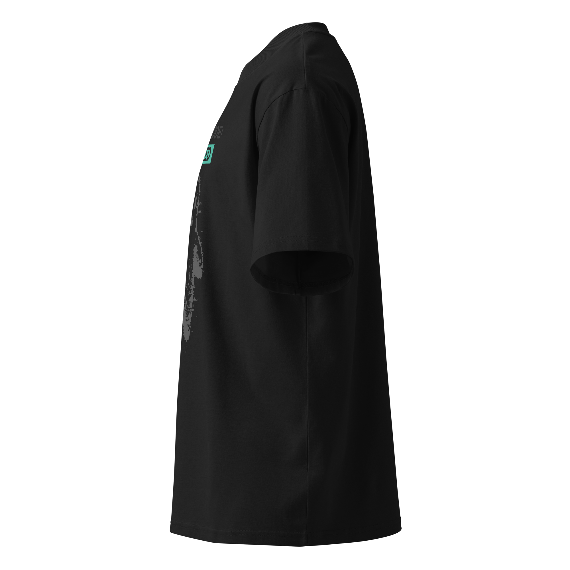 Ghost Mode: Enabled – Oversized Organic High-Neck T-Shirt