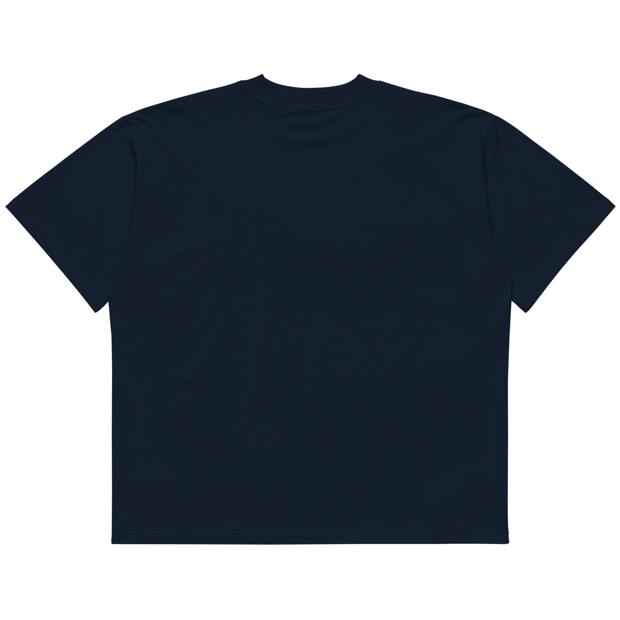 STS “Stay Hidden Stay Secure” Cybersecurity Oversized Organic High-Neck T-Shirt