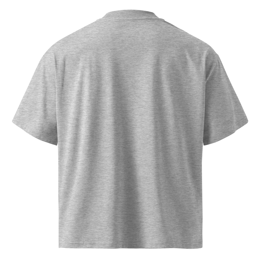 Ghost Mode: Enabled – Oversized Organic High-Neck T-Shirt