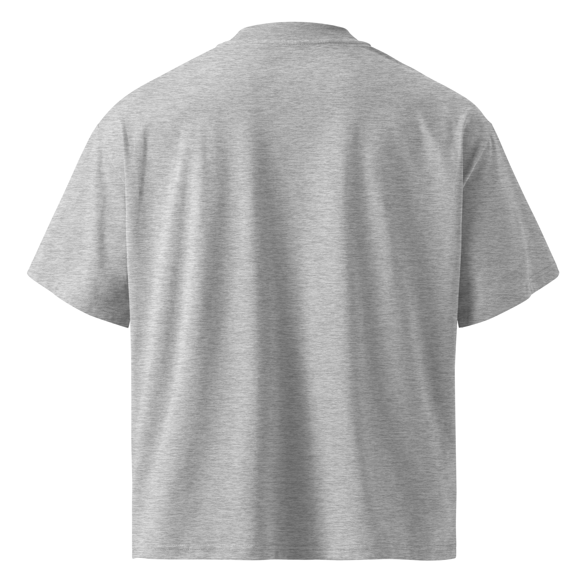 Ghost Mode: Enabled – Oversized Organic High-Neck T-Shirt