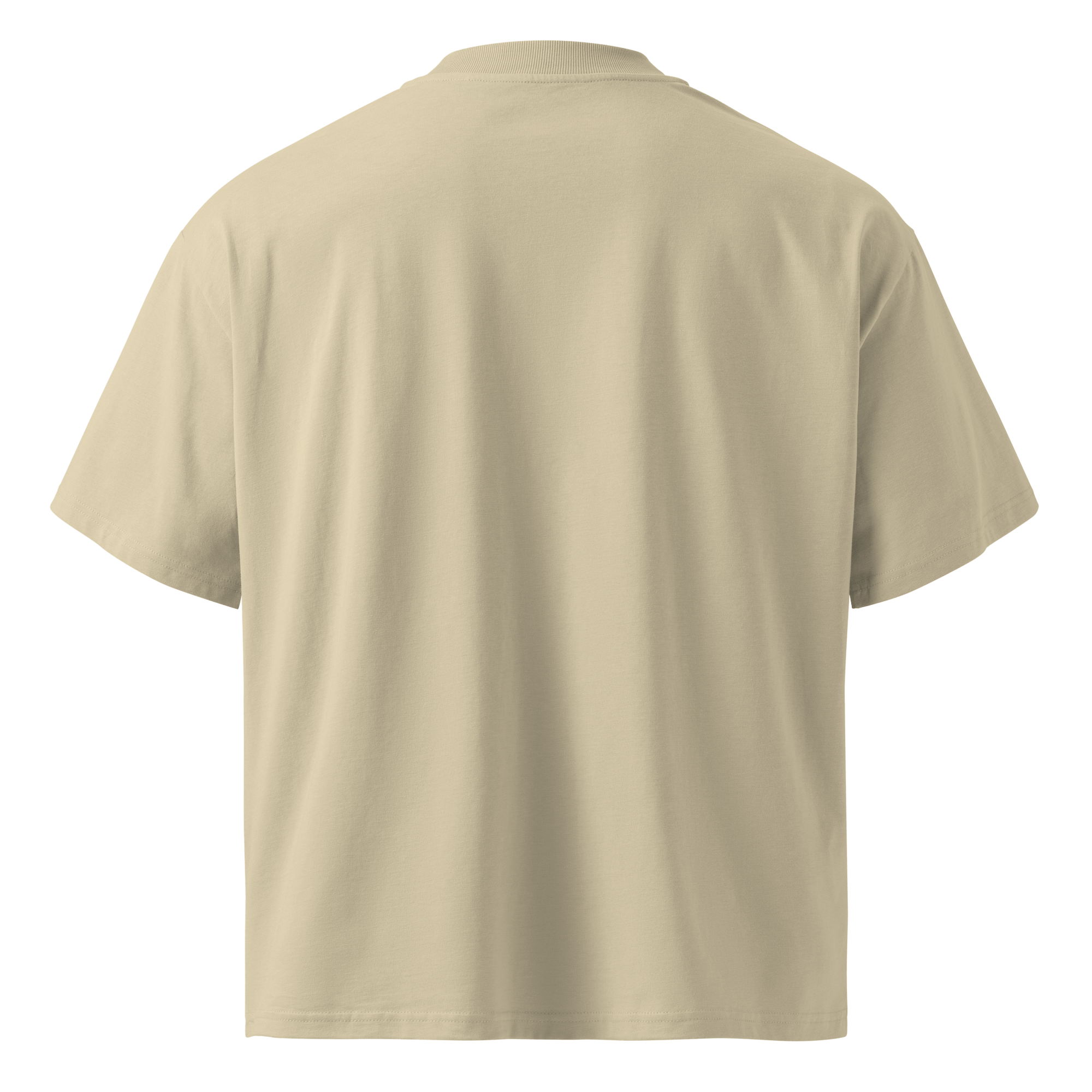 Born in Dark Mode – Oversized Organic High-Neck T-Shirt