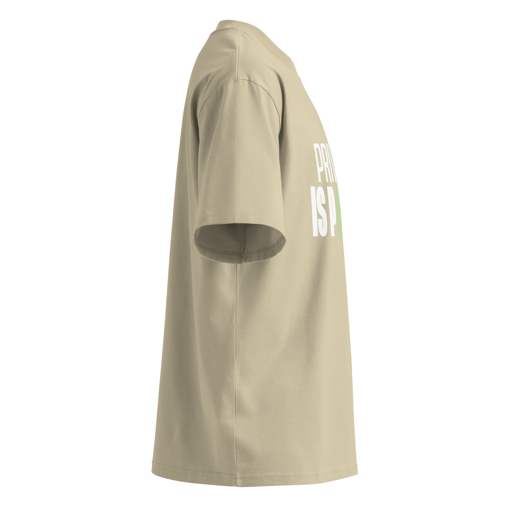 Privacy Is Power – Oversized Organic High-Neck T-Shirt