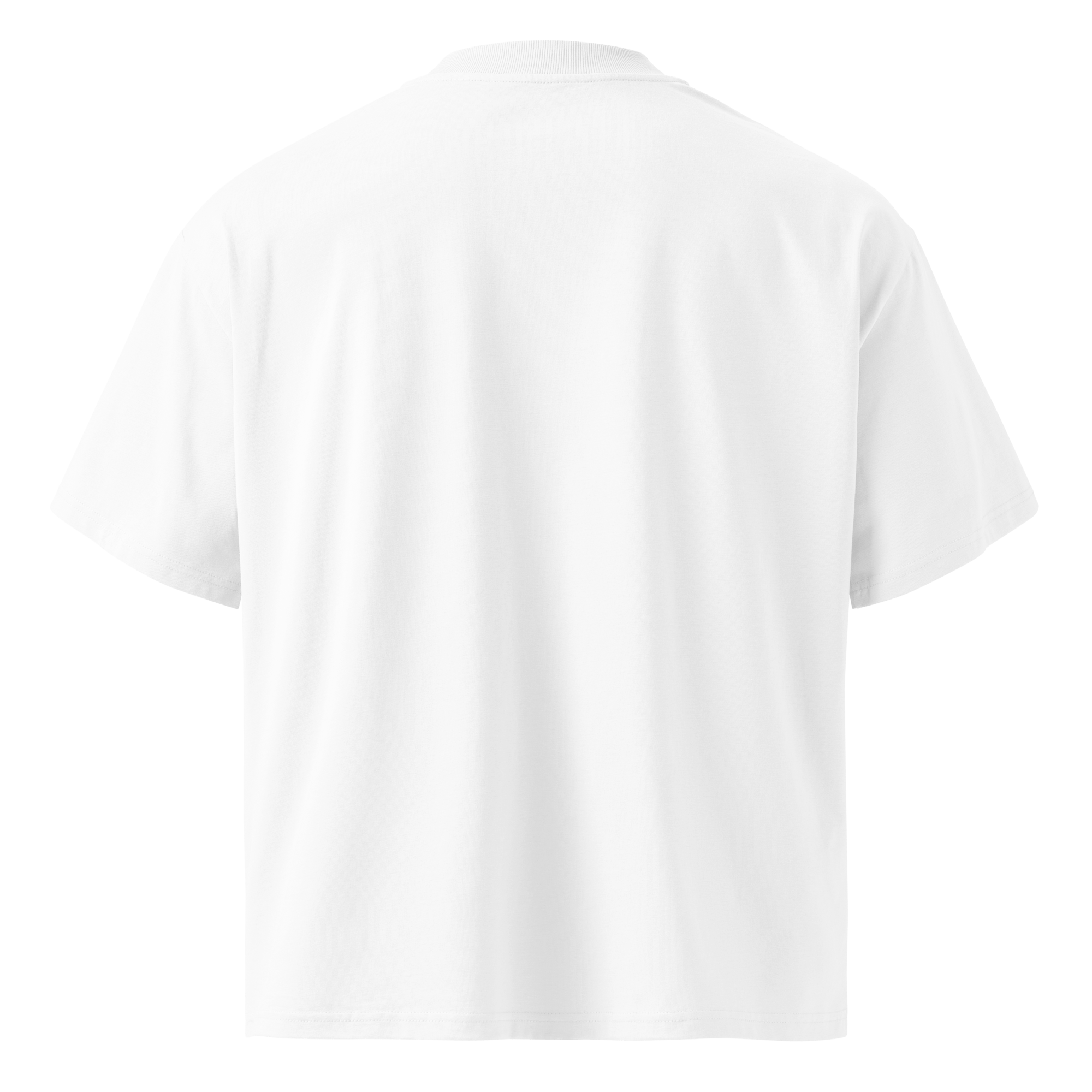 Hack The Planet – Oversized Organic High-Neck T-Shirt